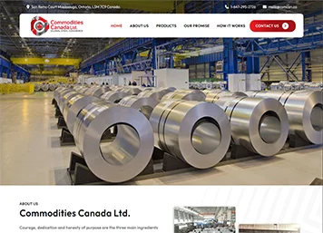 Website 10